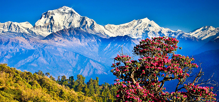 Những lý do khiến bạn không thể không đến Nepal 