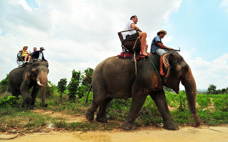 Làng voi Pattaya